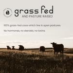 VitaBright Hydrolyzed Bovine Collagen Powder 500g