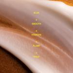 Absolute Collagen Deep Lift Anti-Ageing  Cream