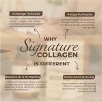 Grass-Fed Hydrolysed Collagen Powder for Skin