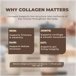 Grass-Fed Hydrolysed Collagen Powder for Skin