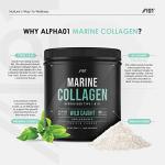 Wild-Caught Marine Collagen Powder