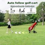 Icango G3 Electric Golf Cart with Remote Control