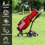 Icango G3 Electric Golf Cart with Remote Control