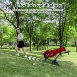 Icango G3 Electric Golf Cart with Remote Control