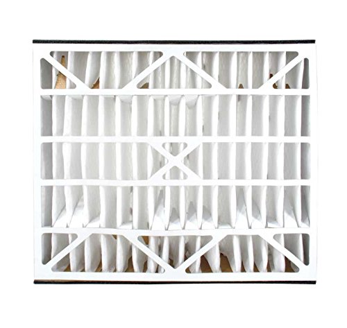Trion Air Bear 255649-102 Replacement Filter - 20x25x5, Three Per Box