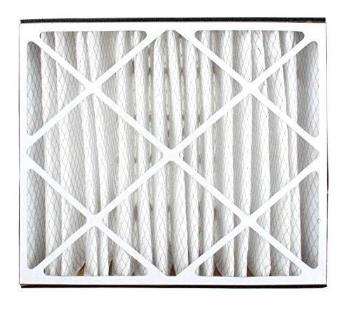 Trion Air Bear 255649-102 Replacement Filter - 20x25x5, Three Per Box
