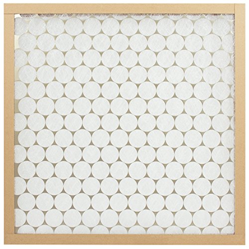 E-Z Flow Air Filter, MERV 4, 24 x 24 x 1-Inch, 12-Pack