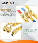 Color Coded Charging Hoses and Ball Valve Set