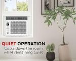 Honeywell 6,000 BTU Window Air Conditioner with Remote
