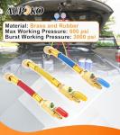 Color Coded Charging Hoses and Ball Valve Set