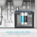 Avalon Dual Filtration Under Counter Chiller System