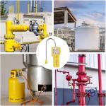 Portable Gas Leak Detector with Flexible Probe