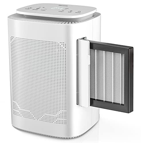 Thecosky Dehumidifier and Air Purifier Combo