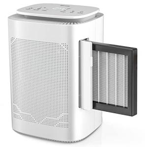 Thecosky Dehumidifier and Air Purifier Combo