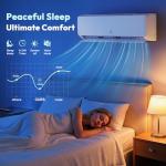 Rellytech 9000 BTU Mini Split AC/Heating System