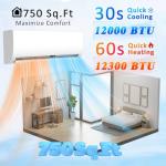 12000 BTU Ductless Mini Split AC/Heating System