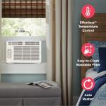 Frigidaire 5,000 BTU Quiet Window Air Conditioner