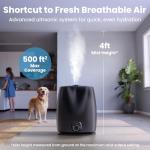 Everlasting Comfort 6L Quiet Cool Mist Humidifier
