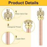 Brass Copper Refrigerant Access Valves for HVAC
