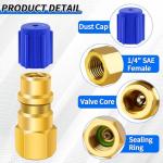 A/C Retrofit Valve Kit with Low Side Adapter