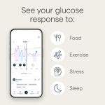 Lingo by Abbott | 2-Week Wearable Glucose Tracker