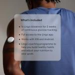 Lingo by Abbott | 2-Week Wearable Glucose Tracker