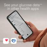 Lingo by Abbott | 2-Week Wearable Glucose Tracker