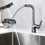 3-Way Water Filter Kitchen Faucet with Swivel Spout