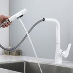 3-Way Water Filter Kitchen Faucet with Swivel Spout