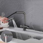 Pull-Out Spray Kitchen Faucet with Water Filter