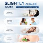 Slightly Alkaline Under Sink Water Filter System