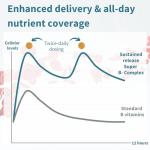 Super B-Complex - High Absorption Methylated Vitamins