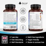Complete B Vitamin Complex - 365 Tablets for Energy