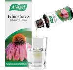 Echinaforce Echinacea Drops for Cold Relief