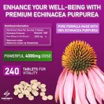 Echinacea Extract Tablets for Immune Support, 240 Count