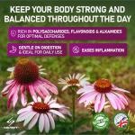 Echinacea Extract Tablets for Immune Support, 240 Count