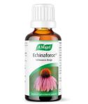 Echinaforce Echinacea Drops for Cold Relief