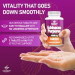 Echinacea Extract Tablets for Immune Support, 240 Count