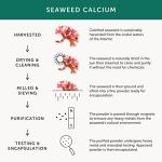 Seaweed Calcium with 72 Minerals - Vegan 60 Caps