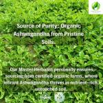 Organic Ashwagandha Rhodiola Ginseng Mood Support Adaptogen