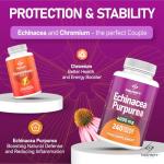 Echinacea Extract Tablets for Immune Support, 240 Count