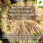 Organic Ashwagandha Rhodiola Ginseng Mood Support Adaptogen