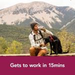 Benylin Cold & Flu Max Strength Capsules - 16 Count