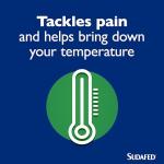 Sudafed Triple Action Cold & Flu Relief Tablets