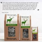 teapigs Mao Feng Green Tea Bags - 15 Temples