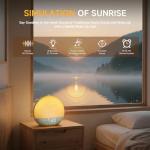 Sunrise Alarm Clock with White Noise and Bluetooth