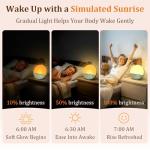 Sunrise Alarm Clock with Dual Alarms and Sound