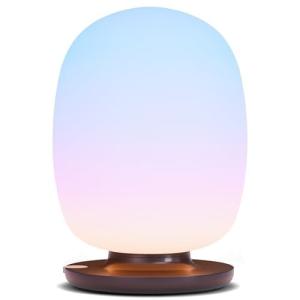 NASA-Designed Wellness Lamp for Focus and Mood