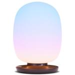 NASA-Designed Wellness Lamp for Focus and Mood