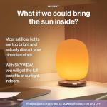 NASA-Designed Wellness Lamp for Focus and Mood